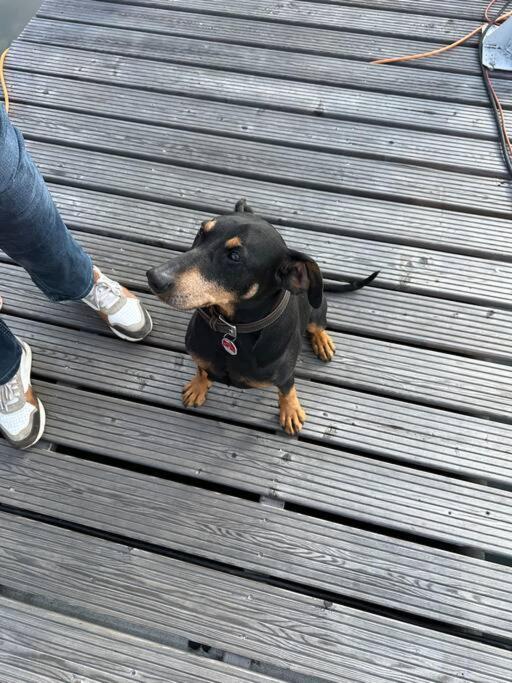 Premium Hausboot Trave Traum Daire Lübeck Dış mekan fotoğraf